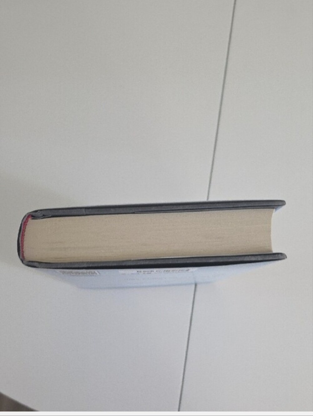 Red Queen- Hardcover - Picture 6 of 7